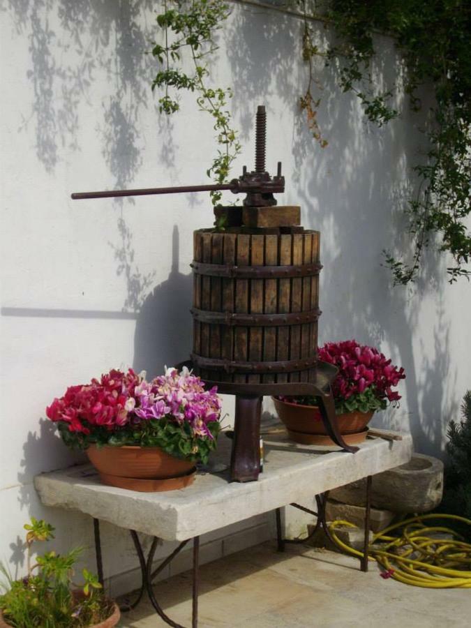 B&B Le Coppe Bisceglie Exterior photo